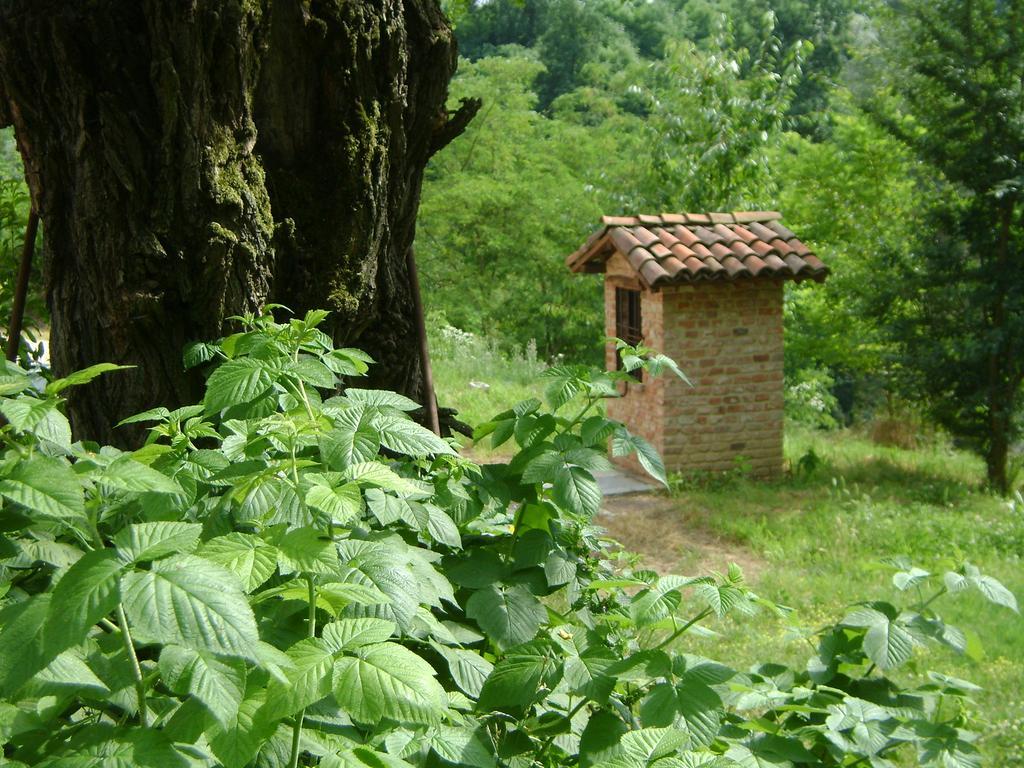 B&B Cascina Rossa Asti Dış mekan fotoğraf