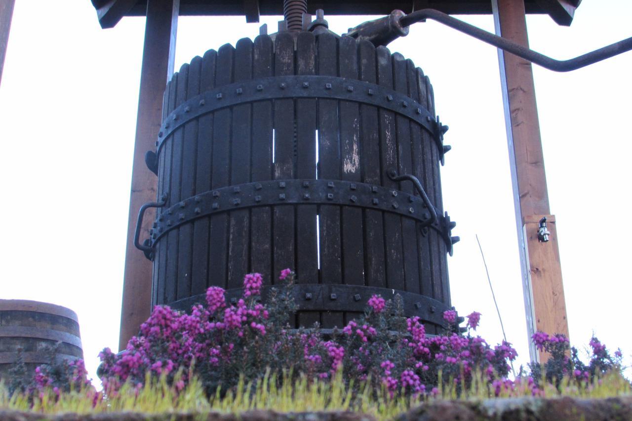 B&B Cascina Rossa Asti Dış mekan fotoğraf